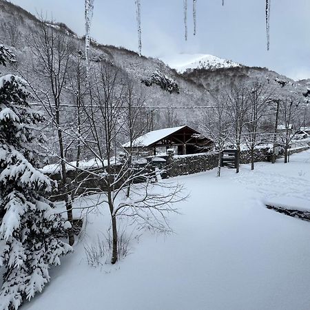 Vikendice Biocinovici Villa Kolaşin Dış mekan fotoğraf