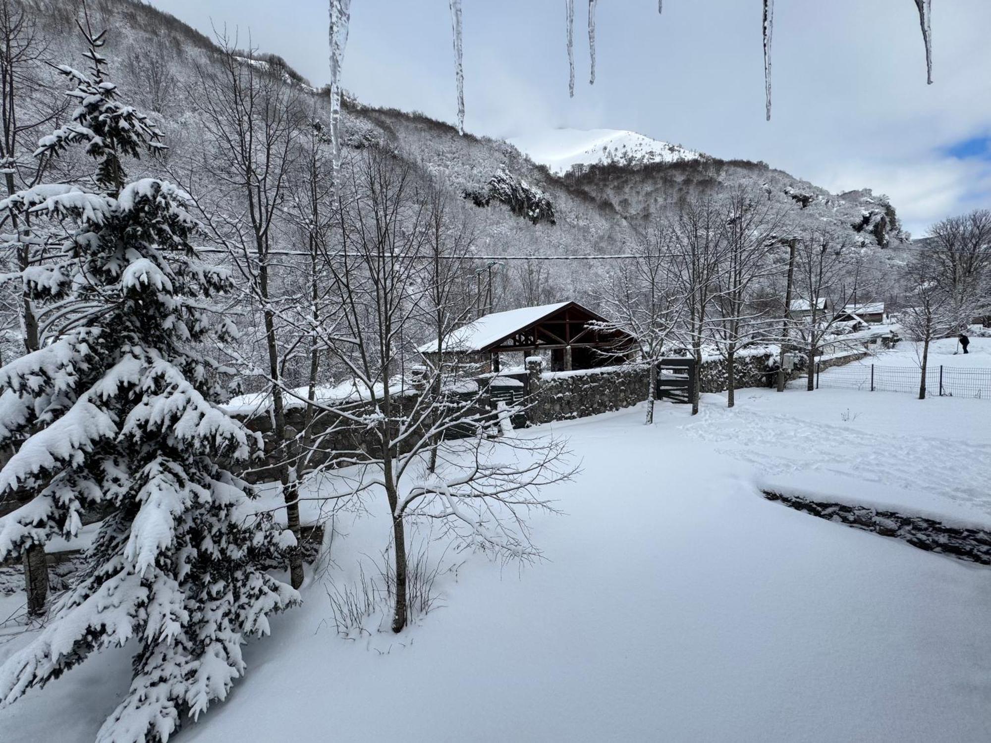 Vikendice Biocinovici Villa Kolaşin Dış mekan fotoğraf